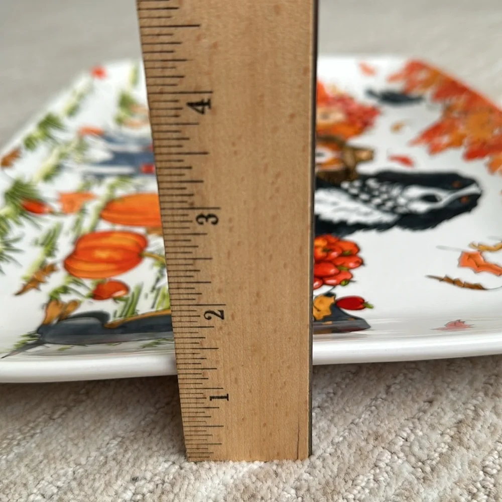 Certified International Sherri Buck Baldwin Autum Fall Dog Serving Platter Plate